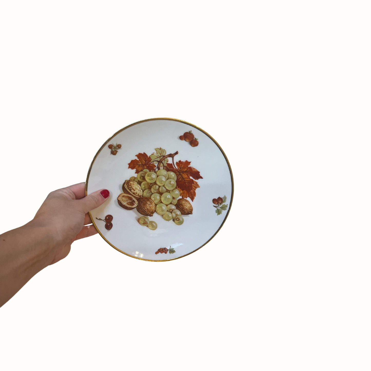 Vintage Bavaria Debra Porcelain Plate, Thanksgiving Grapes, Nuts, Maple Leaf